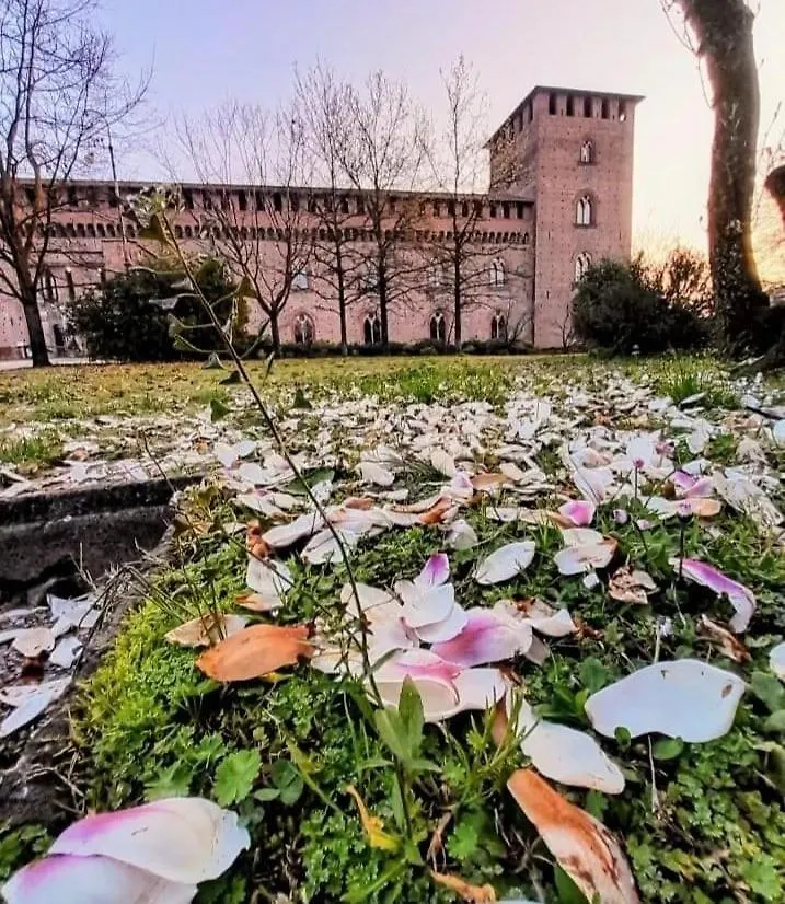 Appartamento Gio' Pavie